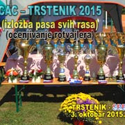 XX–Nacionalna izložba pasa svih rasa C.A.C Trstenik 2015. III DEO – ocenjivanje rotvajlera;   Trstenik, 3. oktobar 2015. god.