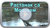 Delovi -Starog gvozdenog mosta- Oproštaj od svoje reke. (Klikni i pogledaj reportažu) ts_rast_morava_s