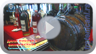 Reportaža RTV Trstenik -Dani vinara i vinogradara- februar, 2015. (Klikni i pogledaj video, MP4 file, 53,1 MB) ts_dvinogr15_pl