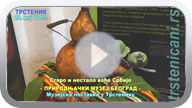 Stare ili nestale voćke Srbije, muzejska postavka; Trstenik 20. maj 2015. (Klikni i pogledaj video, MP4 file 56,4 MB) ts_vockesrb15_s