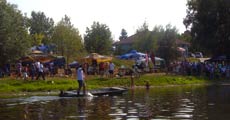 Трка и вожња чамаца мотком између два моста. (Опширније)