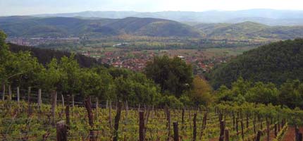 Slika 01a